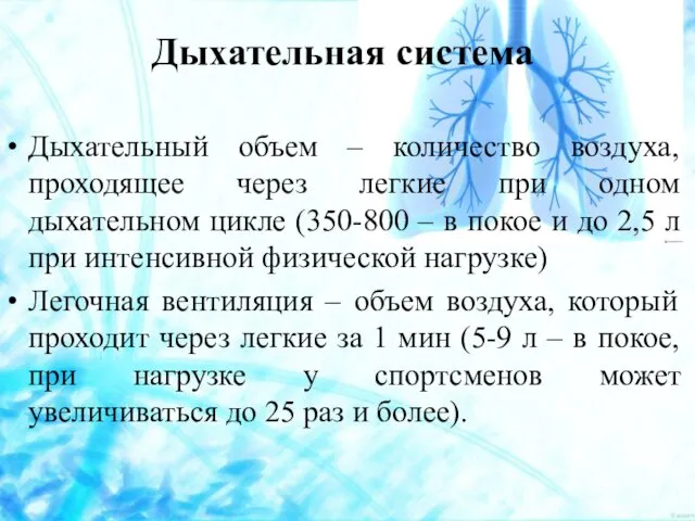 Дыхательный объем – количество воздуха, проходящее через легкие при одном