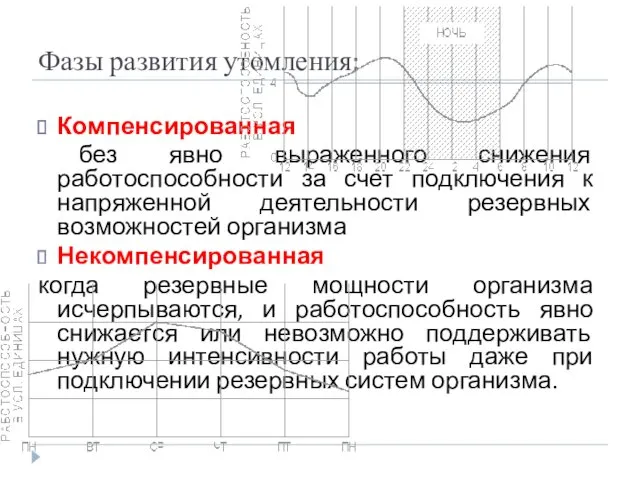 Фазы развития утомления: Компенсированная без явно выраженного снижения работоспособности за