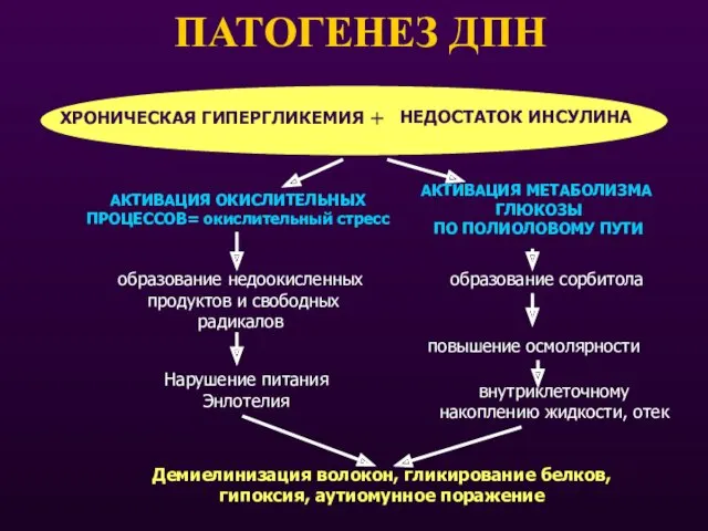 АКТИВАЦИЯ МЕТАБОЛИЗМА ГЛЮКОЗЫ ПО ПОЛИОЛОВОМУ ПУТИ образование сорбитола повышение осмолярности