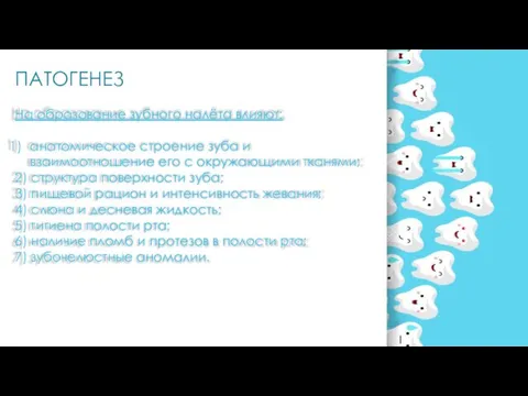 ПАТОГЕНЕЗ На образование зубного налёта влияют: анатомическое строение зуба и