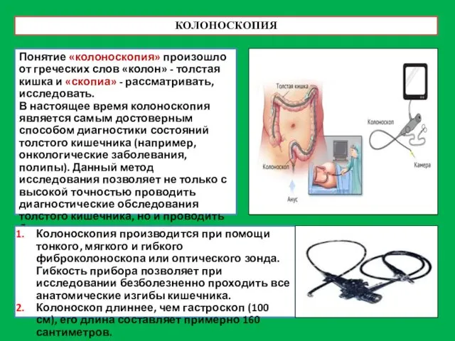 КОЛОНОСКОПИЯ Понятие «колоноскопия» произошло от греческих слов «колон» - толстая