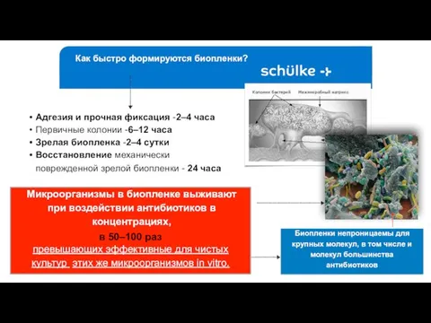 Структура микробной биопленки это- многослойные колонии микроорганизмов+система каналов с циркулирующейжидкостью+гелеподобный матрикс, покрывающий колонии