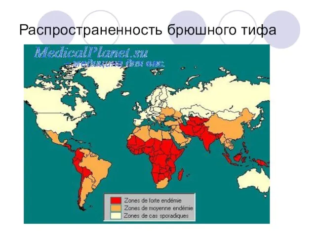 Распространенность брюшного тифа