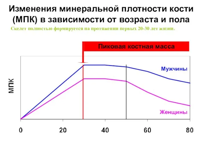 Изменения минеральной плотности кости (МПК) в зависимости от возраста и