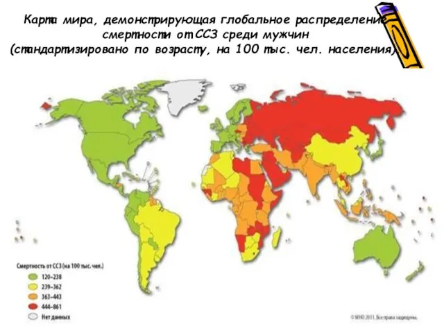 Карта мира, демонстрирующая глобальное распределение смертности от ССЗ среди мужчин (стандартизировано по возрасту,