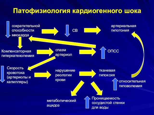 Патофизиология кардиогенного шока сократительной способности миокарда СВ артериальная гипотония Компенсаторная