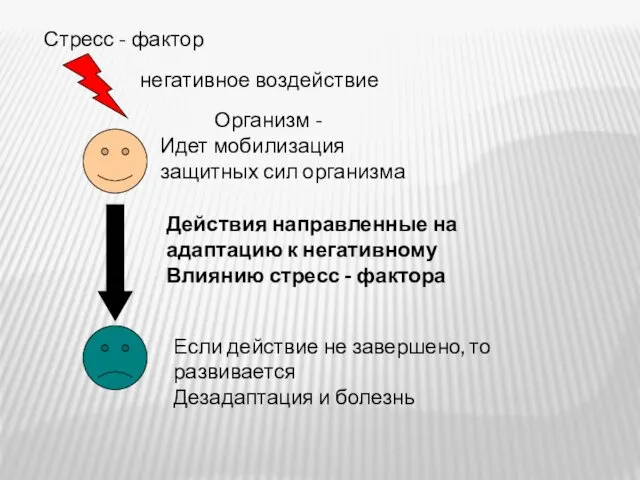 Стресс - фактор негативное воздействие Организм - Идет мобилизация защитных сил организма Действия