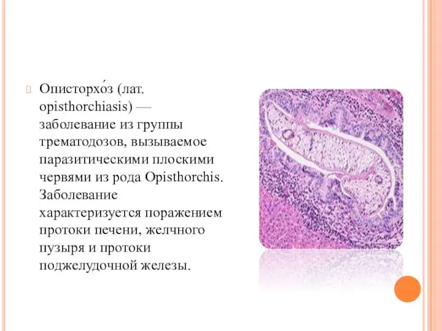 Описторхо́з (лат. opisthorchiasis) — заболевание из группы трематодозов, вызываемое паразитическими