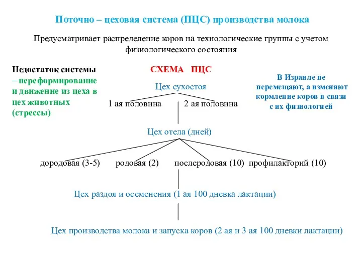 Поточно – цеховая система (ПЦС) производства молока Предусматривает распределение коров