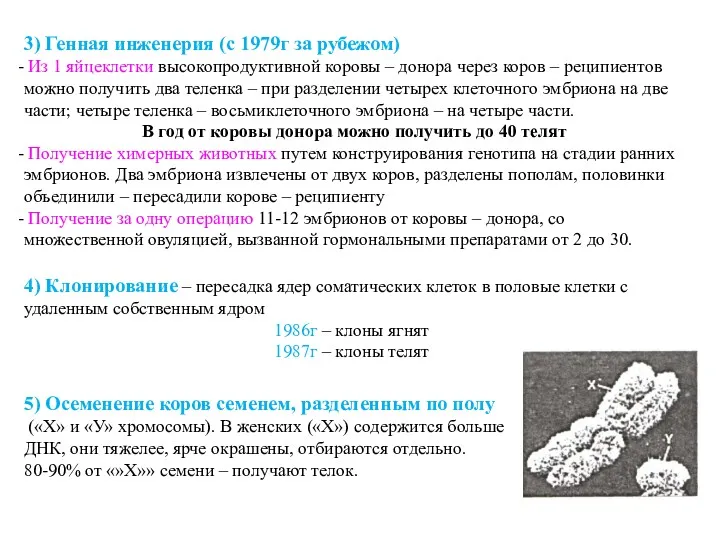 3) Генная инженерия (с 1979г за рубежом) Из 1 яйцеклетки