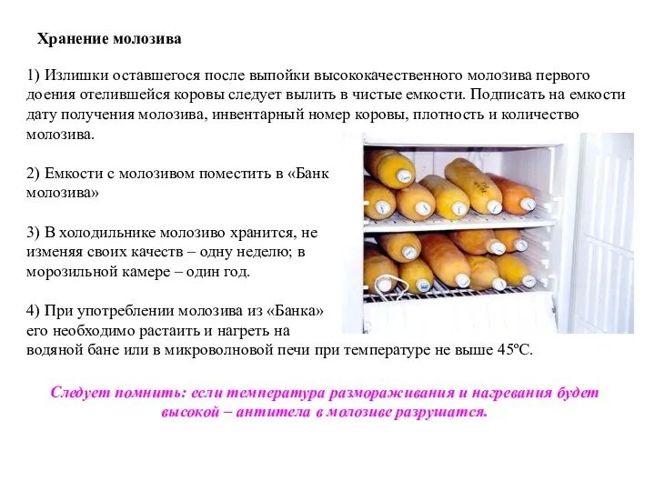 1) Излишки оставшегося после выпойки высококачественного молозива первого доения отелившейся