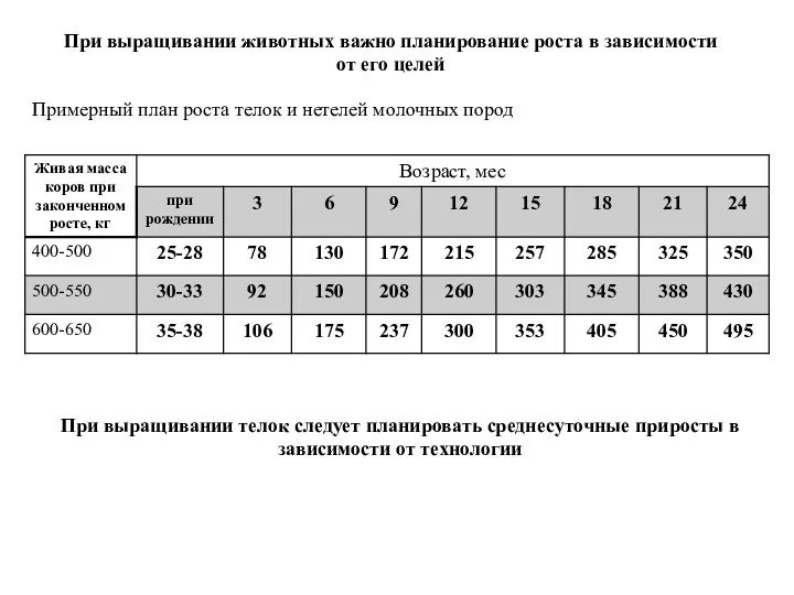 При выращивании животных важно планирование роста в зависимости от его