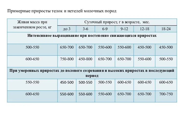 Примерные приросты телок и нетелей молочных пород