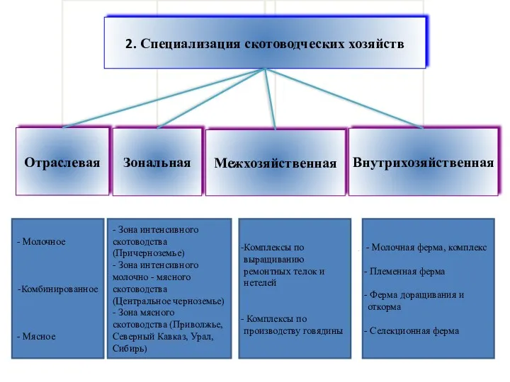 - Молочное -Комбинированное - Мясное - Зона интенсивного скотоводства (Причерноземье)