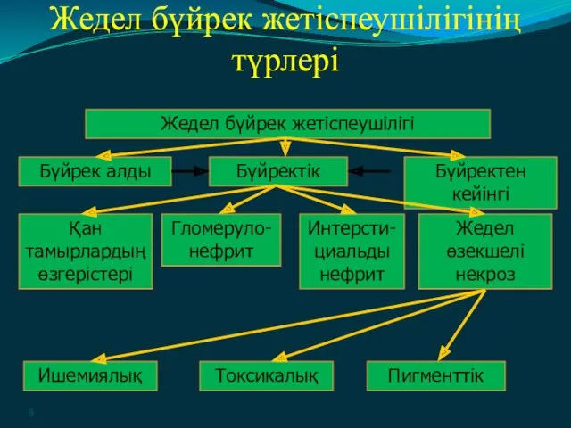 Жедел бүйрек жетіспеушілігінің түрлері Жедел бүйрек жетіспеушілігі Бүйрек алды Бүйректік