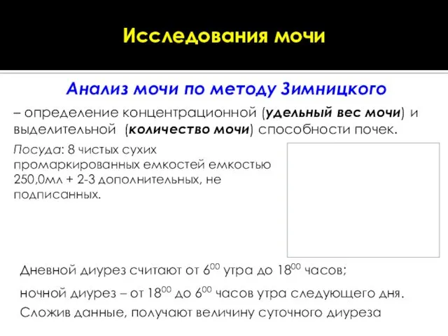 Дневной диурез считают от 600 утра до 1800 часов; ночной