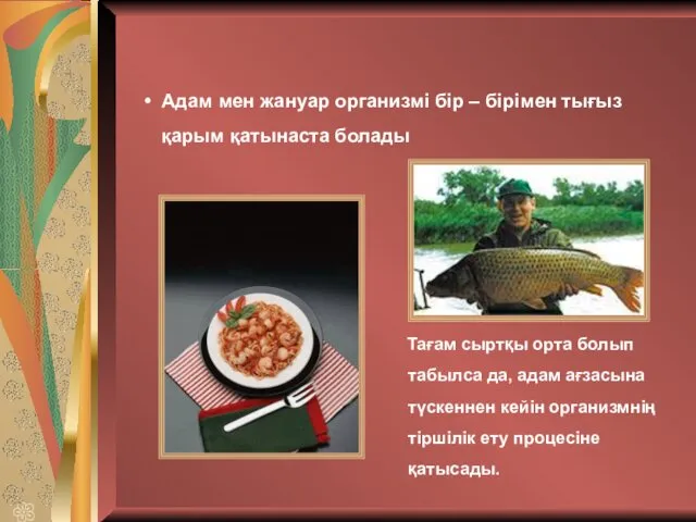 Адам мен жануар организмі бір – бірімен тығыз қарым қатынаста