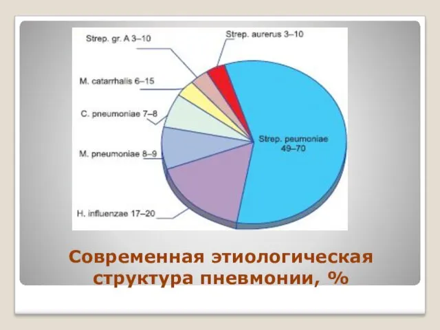 Современная этиологическая структура пневмонии, %