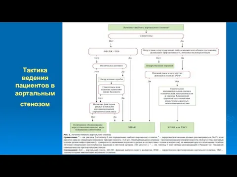 Тактика ведения пациентов в аортальным стенозом