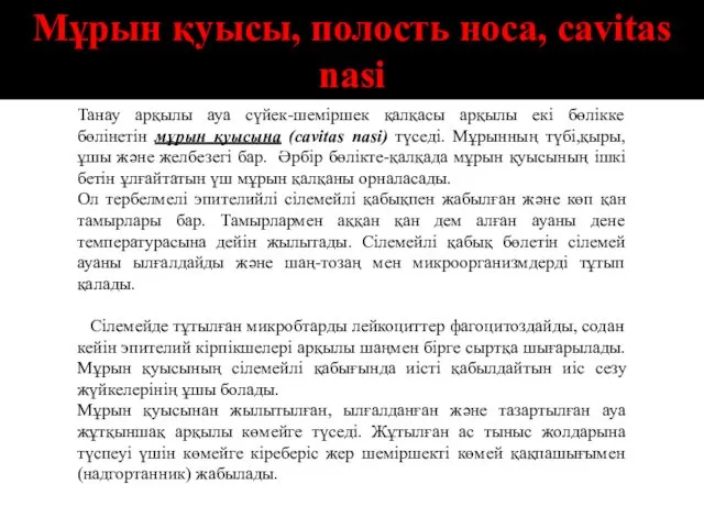 Мұрын қуысы, полость носа, cavitas nasi Танау арқылы ауа сүйек-шеміршек қалқасы арқылы екі