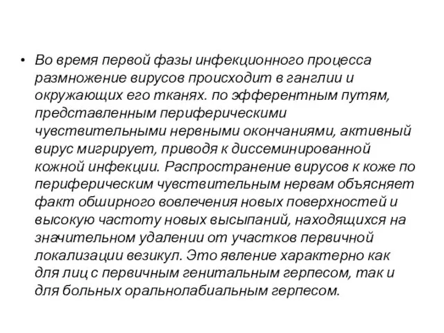 Во время первой фазы инфекционного процесса размножение вирусов происходит в