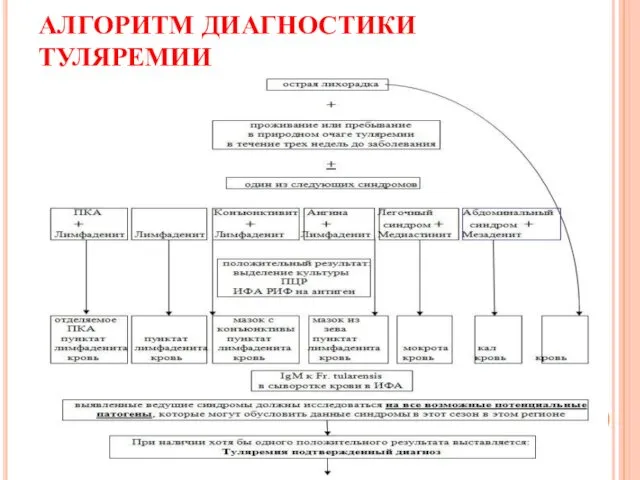 АЛГОРИТМ ДИАГНОСТИКИ ТУЛЯРЕМИИ