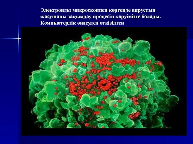 Электронды микроскоппен көргенде вирустың жасушаны зақымдау процесін көруімізге болады. Компьютерлік өңдеуден өткізілген