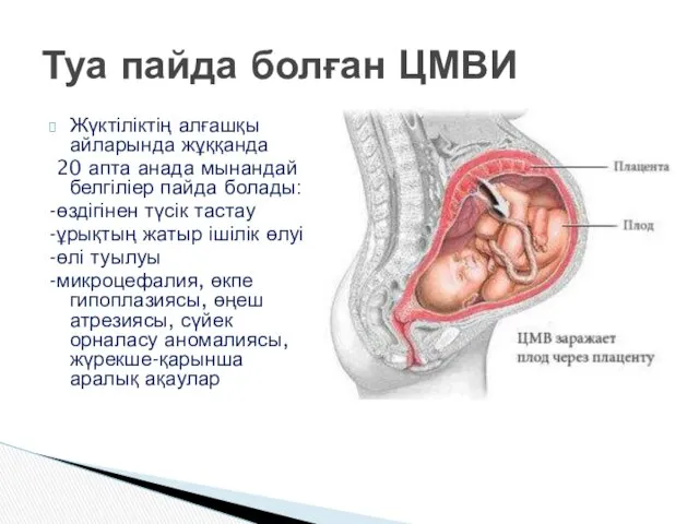 Жүктіліктің алғашқы айларында жұққанда 20 апта анада мынандай белгіліер пайда