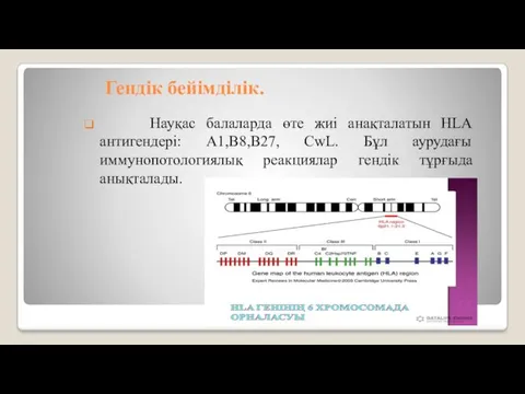 Гендік бейімділік. Науқас балаларда өте жиі анақталатын HLA антигендері: А1,В8,В27,