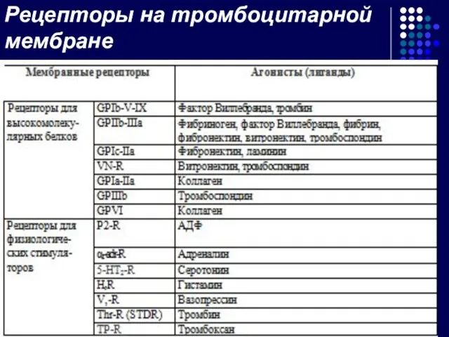 Рецепторы на тромбоцитарной мембране