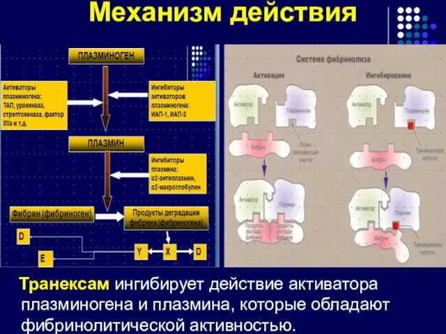 Механизм действия Транексам ингибирует действие активатора плазминогена и плазмина, которые обладают фибринолитической активностью.