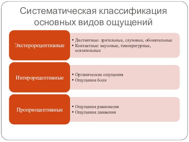 Систематическая классификация основных видов ощущений