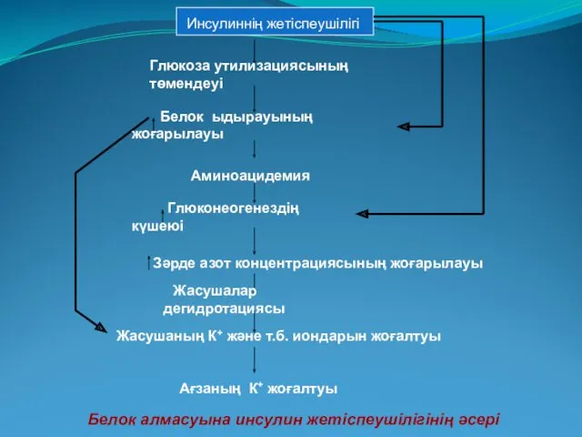 Глюкоза утилизациясының төмендеуі Белок ыдырауының жоғарылауы Аминоацидемия Глюконеогенездің күшеюі Зәрде