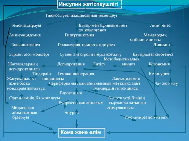 Глюкоза утелизациясының төмендеуі Белок ыдырауы Бауыр мен бұлшық еттегі Липогенез