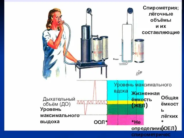 Спирометрия; лёгочные объёмы и их составляющие Вода Уровень максимального вдоха