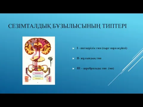 СЕЗІМТАЛДЫҚ БҰЗЫЛЫСЫНЫҢ ТИПТЕРІ I - шеткерілік тип (сырт нерв жүйесі)