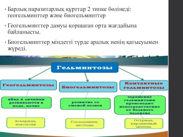 Барлық паразитарлық құрттар 2 типке бөлінеді: геогельминттер және биогельминттер Геогельминттер