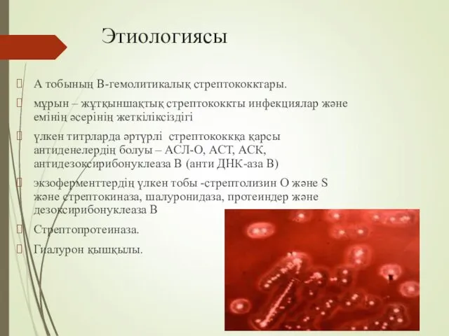 Этиологиясы А тобының В-гемолитикалық стрептококктары. мұрын – жұтқыншақтық стрептококкты инфекциялар