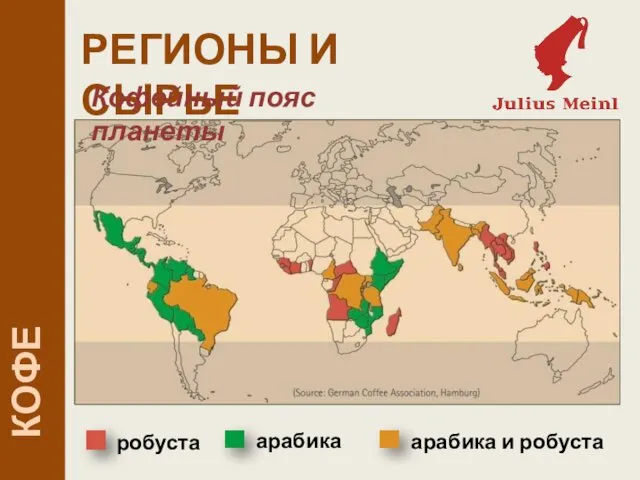 КОФЕ РЕГИОНЫ И СЫРЬЕ робуста арабика арабика и робуста Кофейный пояс планеты