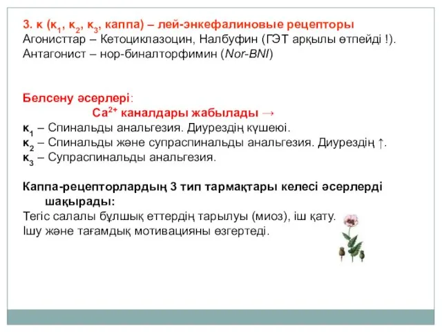 3. κ (κ1, κ2, κ3, каппа) – лей-энкефалиновые рецепторы Агонисттар