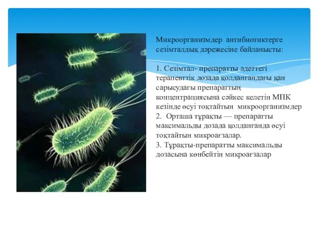 Микроорганизмдер антибиотиктерге сезімталдық дәрежесіне байланысты: 1. Сезімтал- препаратты әдеттегі терапевттік дозада қолданғандағы қан