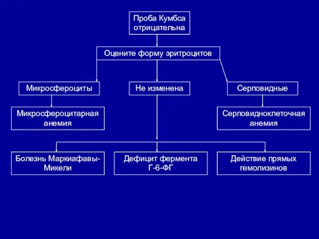 Проба Кумбса отрицательна Оцените форму эритроцитов Микросфероциты Не изменена Серповидные