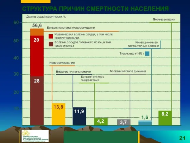 СТРУКТУРА ПРИЧИН СМЕРТНОСТИ НАСЕЛЕНИЯ 21