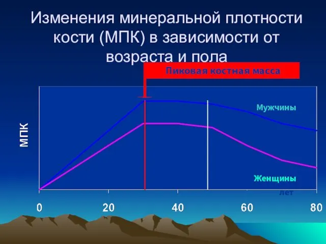 лет Пиковая костная масса Мужчины Женщины Изменения минеральной плотности кости