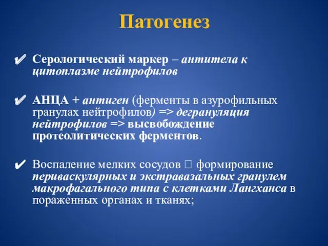 Патогенез Серологический маркер – антитела к цитоплазме нейтрофилов АНЦА +