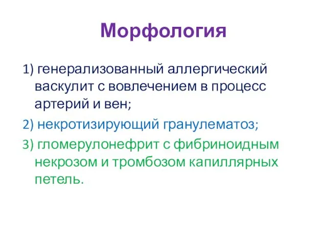 Морфология 1) генерализованный аллергический васкулит с вовлечением в процесс артерий