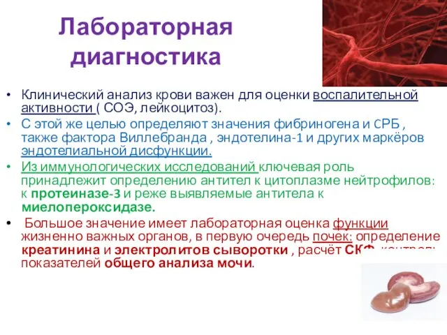 Лабораторная диагностика Клинический анализ крови важен для оценки воспалительной активности