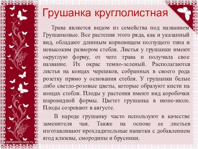 Грушанка круглолистная Трава является видом из семейства под названием Грушанковые.