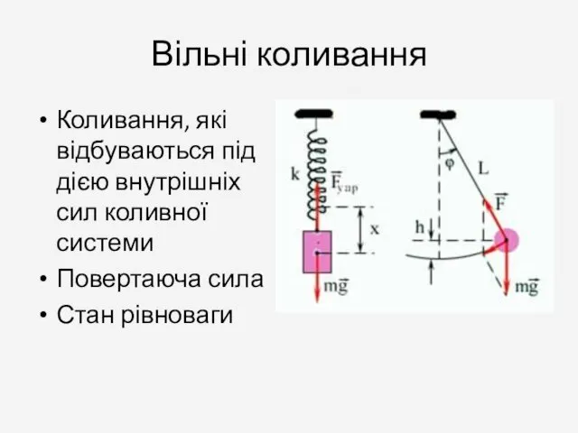 Вільні коливання Коливання, які відбуваються під дією внутрішніх сил коливної системи Повертаюча сила Стан рівноваги