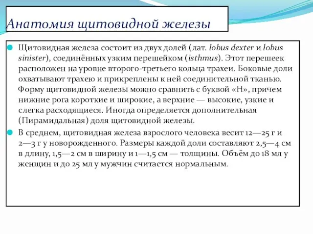 Анатомия щитовидной железы Щитовидная железа состоит из двух долей (лат.